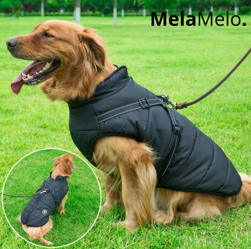 Tove™ PupTrend DualShield